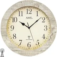 AMS montre 5561