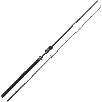 Westin Canne Baitcasting W3 Jerkbait T