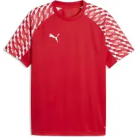 Puma T-Shirt fonctionnel 'TeamLiga26' rouge / rouge feu / blanc