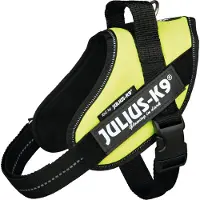 JULIUS K-9 Julius K9 IDC Power harnais de chien mini vert fluo 16IDC-NE-M