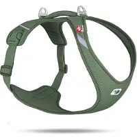 Curli Belka harnais Air-Mesh, mousse T. 3XL : 70,2 - 78,9 cm Chien