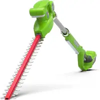 Greenworks Rallonge pour taille-haie 24 V G24PH51 - 2300707
