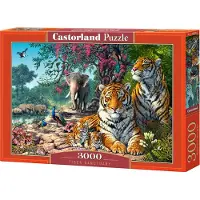 Castorland Puzzle 3000 pièces Sanctuaire des tigres 300600