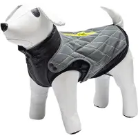 Beeztees Manteau Pour Chien Allia