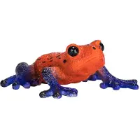 Animal planet Pfeilgiftfrosch