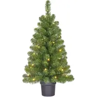 Black Box Trees Trees Norton Artificial Christmas Tree in Pot with LED Lights - H90 x Ø50 cm - Vert