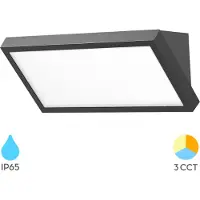 Braytron Applique murale d'extérieur LED , 20 W, IP65, 3-en-1, CC