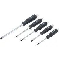 Bgs Jeu de tournevis | 5 pcs.