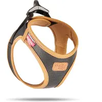 Curli harnais cuir de pomme, 3XS, noir (3XS, Chien, Général)