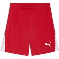 Puma Pantalon de sport 'TeamLIGA26' rouge / blanc