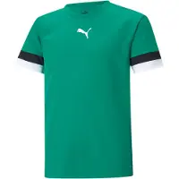 Puma Teamrise Maillot à Manches Courtes Enfants - Vert