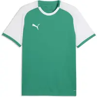 Puma T-Shirt fonctionnel 'TeamLIGA26 Matchday' vert clair / blanc