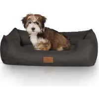 Knuffelwuff Dreamline Velour (Chien)