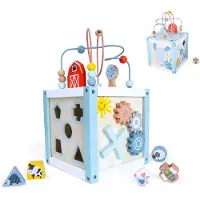 Northio Trieur de cubes éducatifs en bois + blocs ECOTOYS