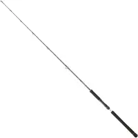 Daiwa Canne à Jigging Lent Legalis