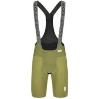 Q36.5 Cuissard Dottore Pro