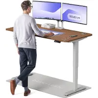 Desktronic HomePro Bureau électrique réglable en hauteur 160x80cm gris/noyer avec fonction mémoire, technologie anti-collision, ports de recharge USB-A et USB-C