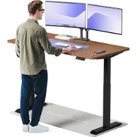 Desktronic HomeOne Bureau électrique réglable en hauteur 160x80cm noir/noyer avec fonction mémoire, technologie anti-collision, ports de recharge USB-A et USB-C