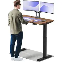 Desktronic HomeOne Bureau électrique réglable en hauteur 120x60cm noir/noyer avec fonction mémoire, technologie anti-collision, ports de charge USB-A et USB-C