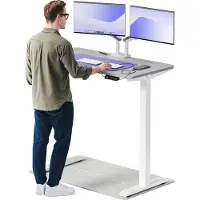 Desktronic HomeOne Bureau électrique réglable en hauteur 120x60cm blanc/gris avec fonction mémoire, technologie anti-collision, ports de chargement USB-A et USB-C