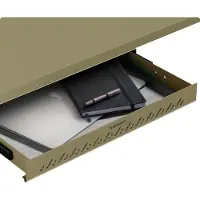 Desktronic Organisateur de tiroirs sous le bureau, 41x27x5cm, Acier de haute qualité, Gain de place extensible Vert