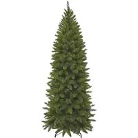 Triumph tree Arbre de Noël artificiel Bristlecone Fir - 89x89x215 cm - PVC - Vert