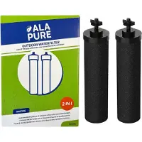 Alapure Filtres 3-1, compatibles avec les filtres Berkey pour éliminer le fluor (lot de 2)