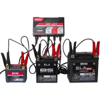 Bs Battery Chargeur de batterie intelligent BK20 6V/12V 3x2A