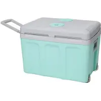Incasa Glacière thermoélectrique 40L - Alimentation 12/220V - Verte - Idéale pour l'été en voiture