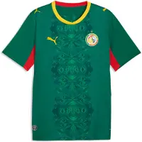 Puma Maillot 'Senegal 2026' jaune / vert