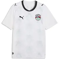 Puma Maillot 'Ägypten 2026' bleu foncé / blanc