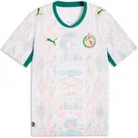 Puma Maillot 'Senegal 2026' bleu ciel / vert gazon / rose / blanc