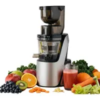 4Swiss Swan BM 105 - Extracteur de jus à rotation lente - Extracteur de jus à froid électrique 400 W pour fruits et légumes, goulotte XXL, sans BPA