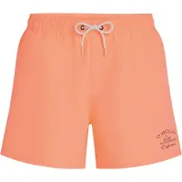 O'Neill Short de bain Beach 15" Hommes