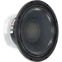 Visaton PAW 25 haut-parleur 10 pouces, 8 ohms