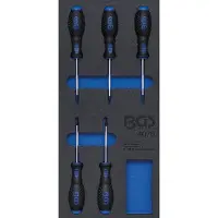 Bgs 4076 1/3 Garniture pour servante d'atelier : tournevis profilé en T, T6-T10, 5 pces.