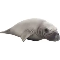 MOJO Vache marine