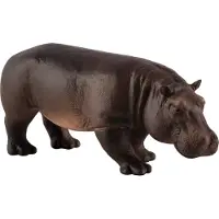 Small Foot Hippopotamus