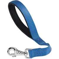 Ferplast Laisse Pour Chien Nylon Daytona 25 Mm 45 Cm