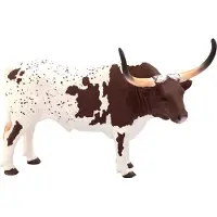Animal planet Texas Longhorn Rind