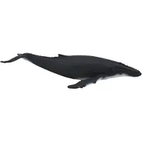 MOJO Jouet Mojo Sealife Baleine à bosse - 387119