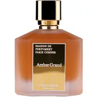 Pendora Scents Amber Grand eau de parfum spray 100ml