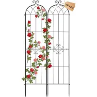 Vevor Treillis de Jardin Métal 52,5x220 cm Support de Plante Grimpante Lot de 2 Treillis pour Rosiers