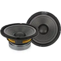 HomeShopXL 30753 - Haut-parleur HSP 002 - 6,5" (160 mm), 90 / 160 W, 8 ohms
