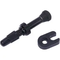 Fulcrum Jeu de valves tubeless composé d'une valve pour un montage 2-Way Fit,