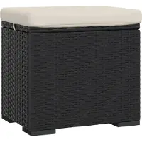 vidaXL Poufs avec coussins 2 pcs noir 40x30x40 cm résine tressée