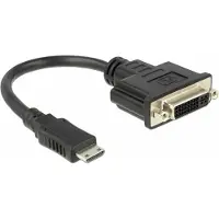 DeLOCK Mini HDMI vers DVI I Adaptateur -