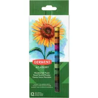 Derwent Peinture pastel Soft Pastels Multicolore, 12 pièces (12x)