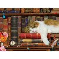 Eurographics Puzzle Pièces XXL - The Cat Nap - 500 à 999 pièces
