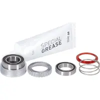 Dt Swiss Ratchet 54t 180 Exp Service Kit Gris